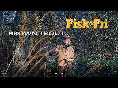 Browntrout: With spinner and claw connector in the river