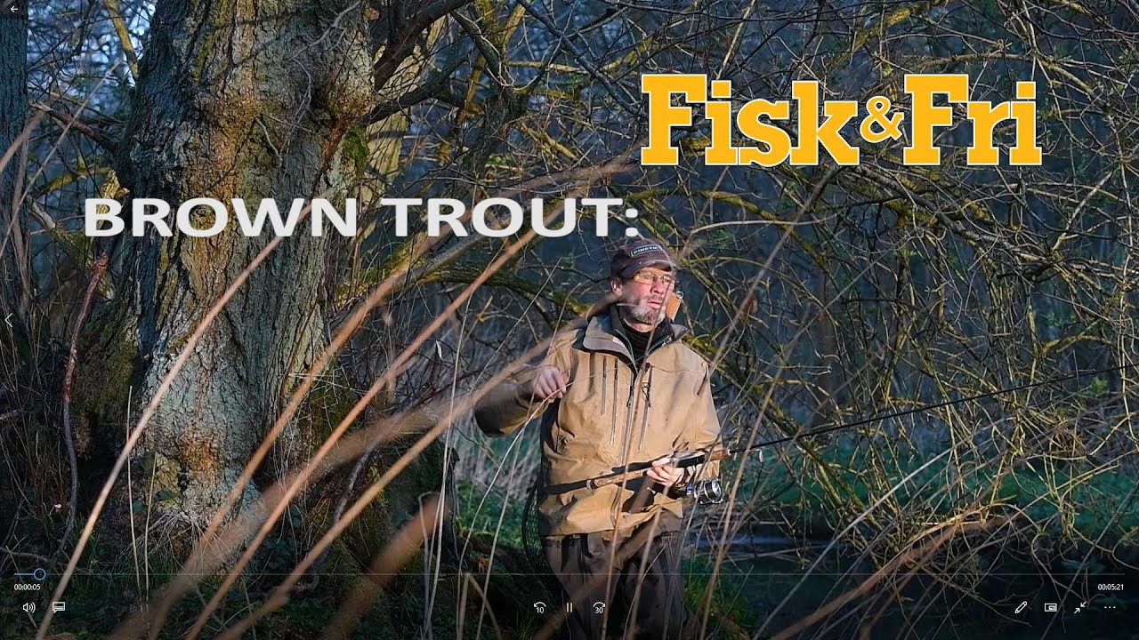 NY VIDEO: MED SPINNER OG CLAW CONNECTOR I ÅEN