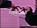 Gulabi Sadi Slowed Reverb