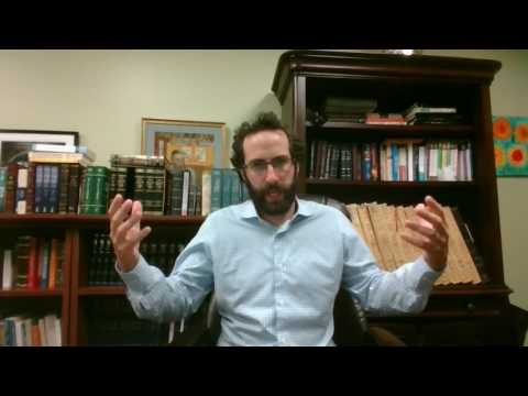 Netziv on the Parsha - Shlach