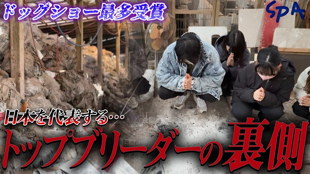 【衝撃】日本No.1ブリーダーの裏側…現場に残されていた“本当の姿”