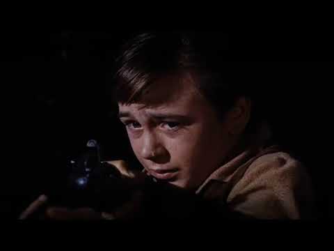 2SHANEZ x TARXAN - DYING DOG (PROD. NARCIX)