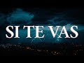 Jesse & Joy - SI TE VAS (Letra oficial / Official lyrics)