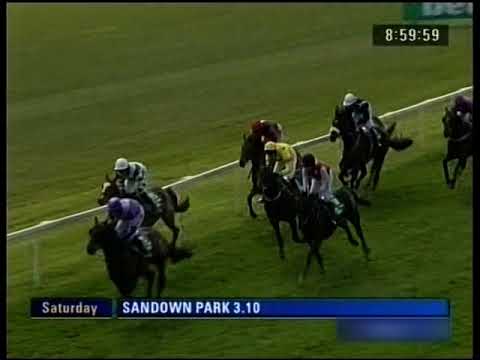 2009 Bet365 Gold Cup Handicap Chase