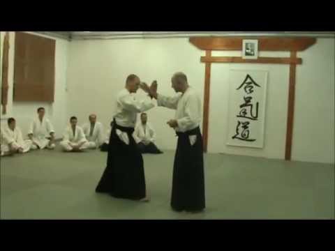 Georg Meindl 5th dan Aikikai is teaching Aikido in Sopron, Hungary February 2011 (1/7)