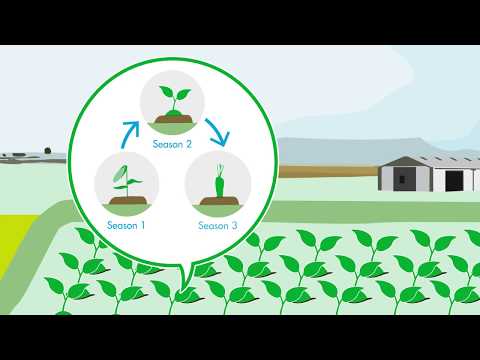 G.A.P. in Action Video: Integrated Pest Management (IPM)