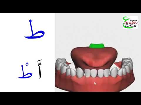 How to pronounce the Arabic letter Taa