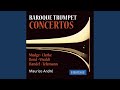 Trumpet Concerto in G Minor, RV. 103: II. Lento