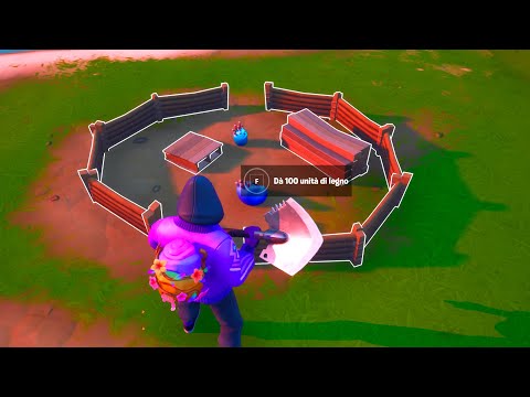 SFIDA SEGRETA SU FORTNITE - COMPAGNI dei CORALLI