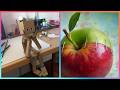 The Creative Talent Of These People Has No Limit 14