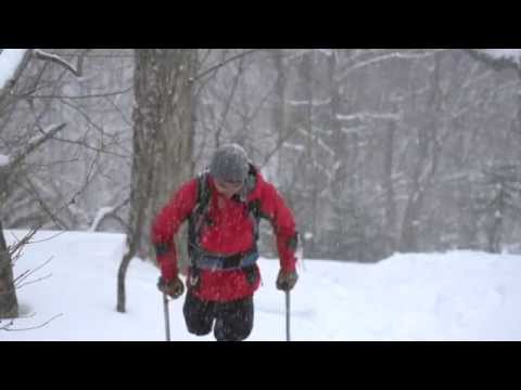 "Out On A Limb" - Trailer