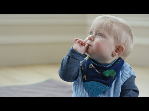 Cheeky Chompers - Customer Success Story
