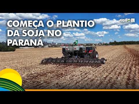 Plantio da soja começa no Paraná com expectativa de safra recorde