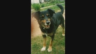 Director&#39;s Cut- Gallagher Family Photos (Stop Living The Lie -David Sneddon)