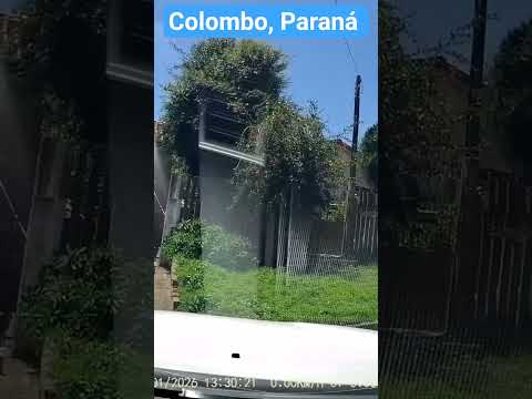 03 Janeiro 2026 - Colombo, Paraná - Brasil 🇧🇷