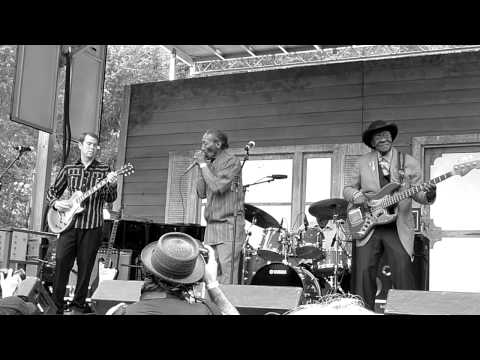 Chicago Blues Festival 2011 - Willie Smith