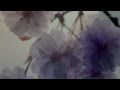 GIOVANNI MARRADI - Kristina's Dream 