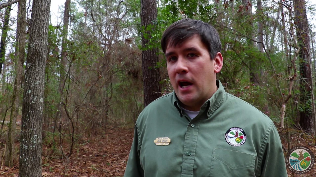 Why is Prescribed Burning Important?