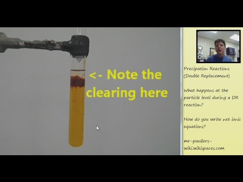 Precipitation Reactions & Net Ionic Equations - Mr Pauller