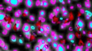 bad religion -  tested