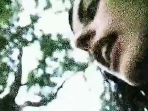 Melo Zamo feat. Loop Loona, Dj Manueli e Dj Mbatò - Un filo sottile (Street Video)