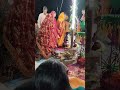 बिहार में शादी Ytshorts Viralreels Vivahgeet Viralvideo Trendingreels Vivah 