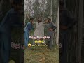 Mard Ko Dard Nhi Hota Dard Ko Mard Nhi Hot Funny Video