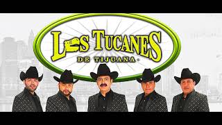 Los Tucanes De Tijuana - El Guero Palma (En Vivo)