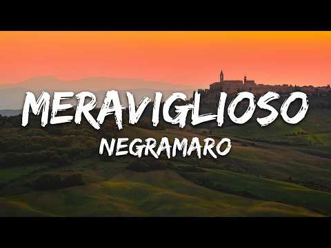 Negramaro - Meraviglioso (Testo/Lyrics)