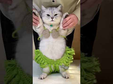 Chipi Chipi Chapa Chapa ULTIMATE MEME REMIX MASHUP