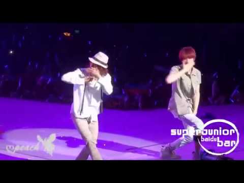 100123 Super Show 2 Beijing - Beautiful (Donghae) [HQ]