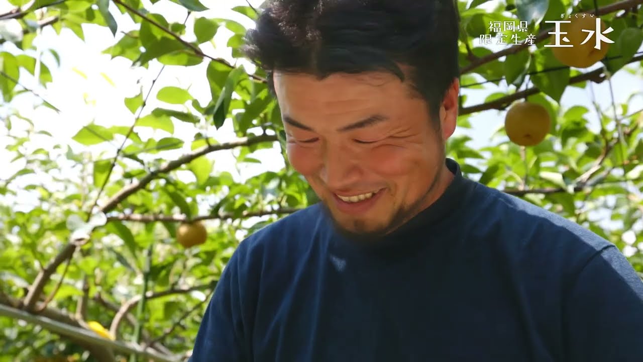 【福岡縣限定生產】福岡縣原創新品種梨「玉水」