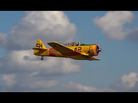 Tri-State Warbird Museum Practice Flights for the Flying Showcase - L-4, Stearman,  T-6 -- 9/29/2023