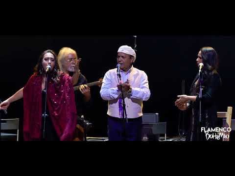 El Pele y Amigos - Seguirilla con Toñi Fernández y María Terremoto