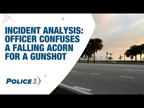 Incident analysis: Officer confuses a falling acorn for a gunshot