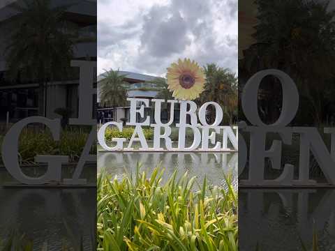 O lugar mais lindo de Maringá? #paraná #ytshorts #maringá #girassol #beautiful #lindo