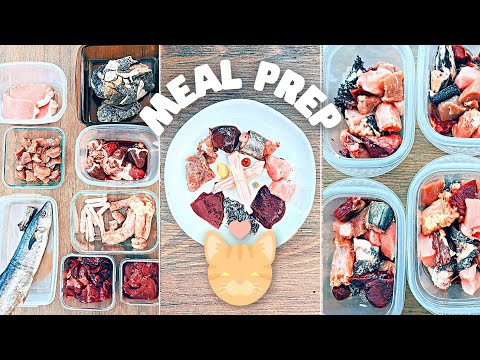 How I Meal Prep Raw Food For My Cat (Full Week)