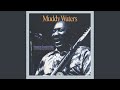 They Call It Stormy Monday (Remastered) - Muddy Waters - Topic They Call It Stormy Monday (Remastered)