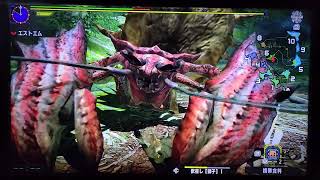 #51 MHXX NSver ｿﾛﾌﾟﾚｲで全ﾀｰｹﾞｯﾄ+ｻﾌﾞﾀｰｹﾞｯﾄ達成を目指して(ﾌﾞｼﾄﾞｰ大剣)