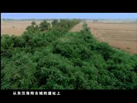 千年菩提路