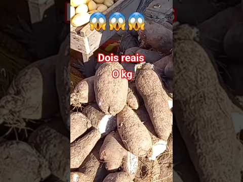 vídeo completo no canal feira livre de vila Quebec camutanga PE