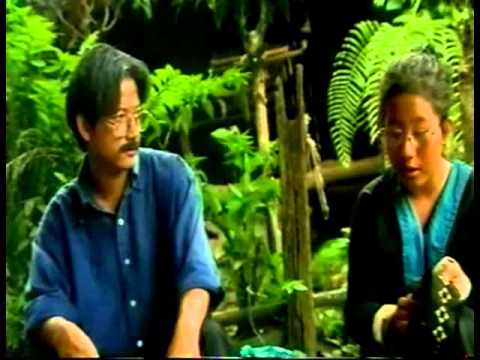 80 Xyoo Tseem Hlub 3.7