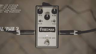 Video thumbnail for Friedman Golden Pearl Overdrive by Regent Sounds