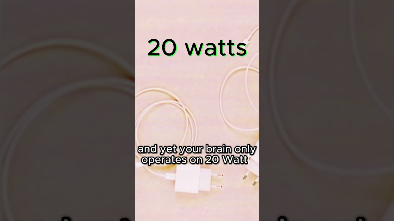 Complexity of the Brain - Michio Kaku #brain #michiokaku #complexity