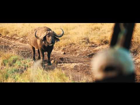 Lewa Safari Camp - Lewa Conservancy
