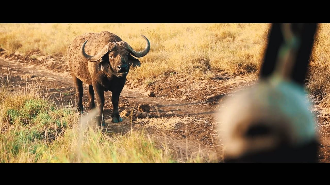 Lewa Safari Camp - Lewa Conservancy