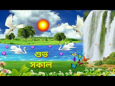 Bangla Good Morning Whatsapp Video