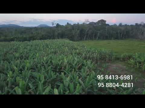 Sítio a venda na Vila de Entre Rios município de Caroebe. Roraima 