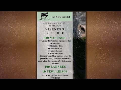 • Feria Rural de Tacuarembó - F&G Group SAS con Agro Oriental │Paisanotv 🇺🇾