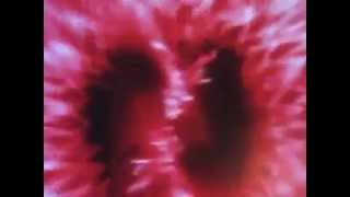 Tom Petty &quot;Full Grown Boy&quot;